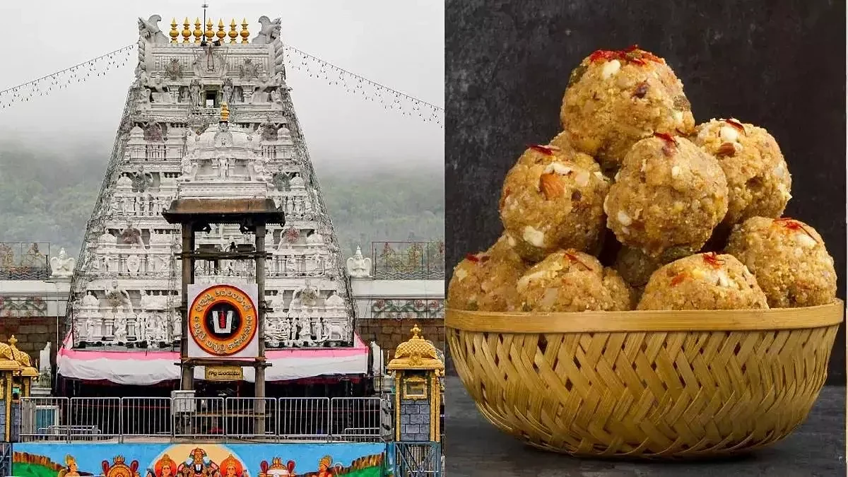 फोटो: सोशल मीडिया