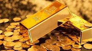 फोटोः सोशल मीडिया