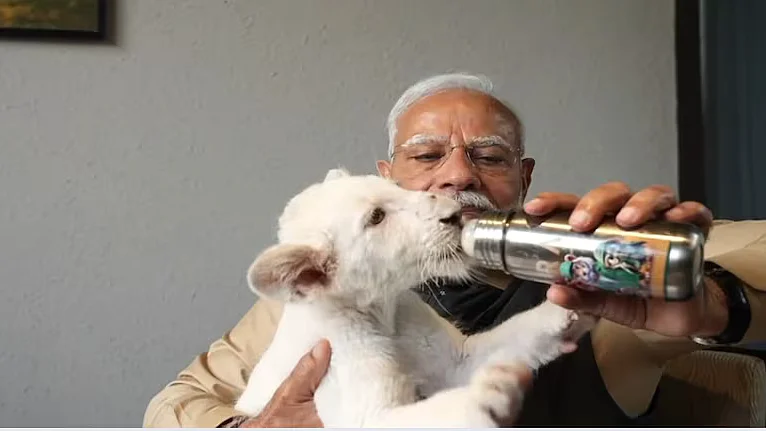 फोटो: सोशल मीडिया