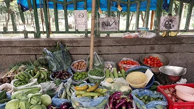 फोटो: सोशल मीडिया