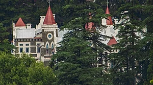 सड़क चौड़ीकरण के लिए तीन हजार वृक्षों के कटान पर रोक, उत्तराखंड उच्च न्यायालय का फैसला