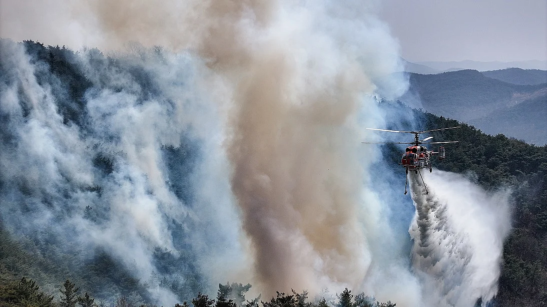 दक्षिण कोरिया में भीषण जंगल की आग मचा रही तबाही, अब तक 24 लोगों की मौत, 26 लोग घायल