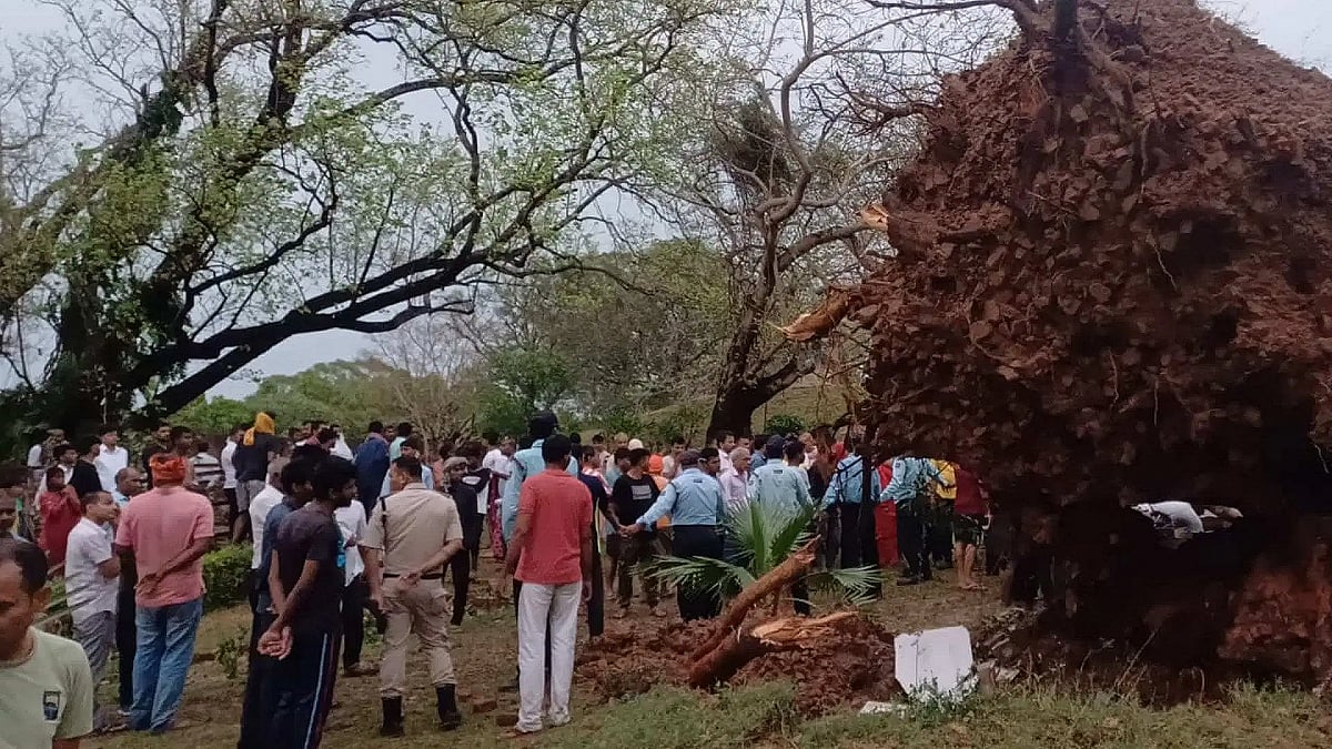 फोटो: सोशल मीडिया