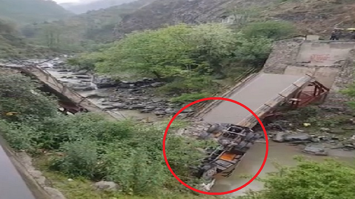 फोटो: सोशल मीडिया