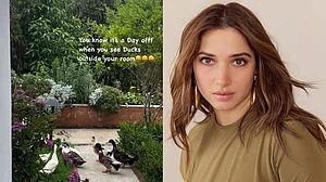 सिनेजीवन: तमन्ना भाटिया ने शेयर किया दिल छू लेने वाला वीडियो और कश्मीर की वादियों में पहुंची अभिनेत्री हिना खान