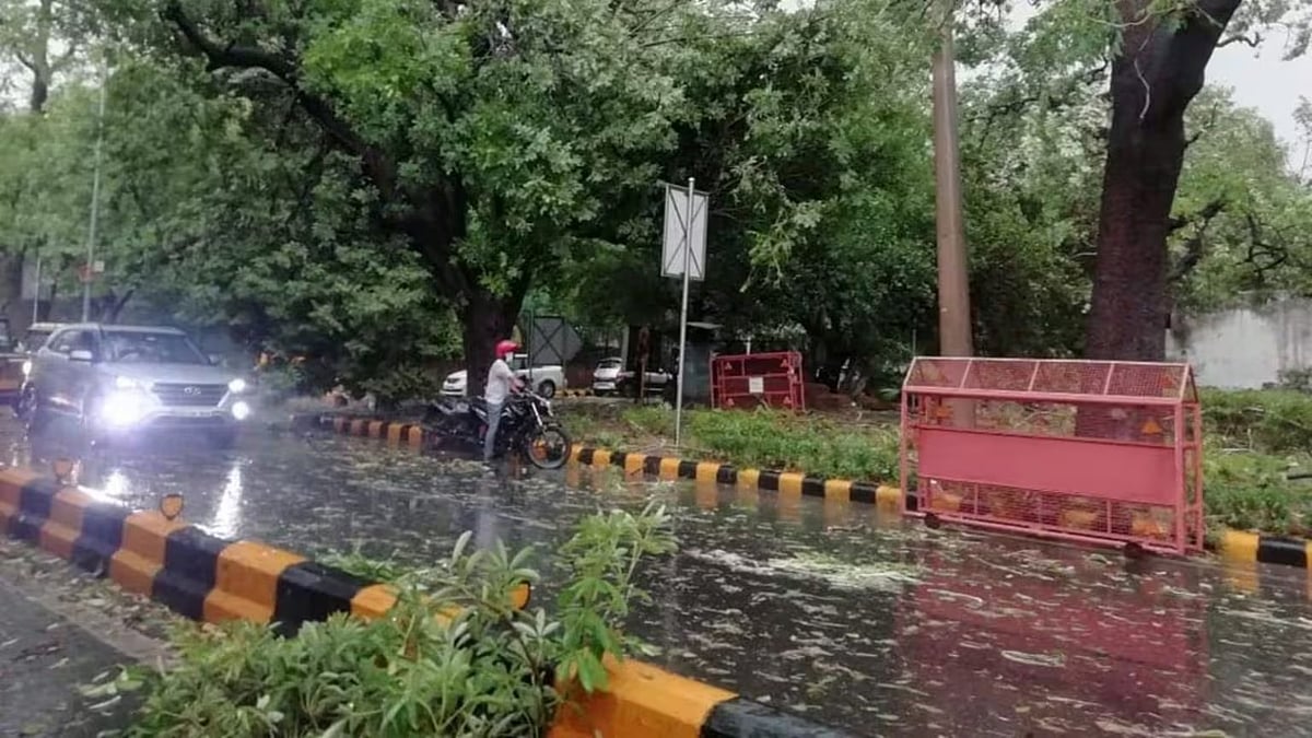 फोटो: सोशल मीडिया