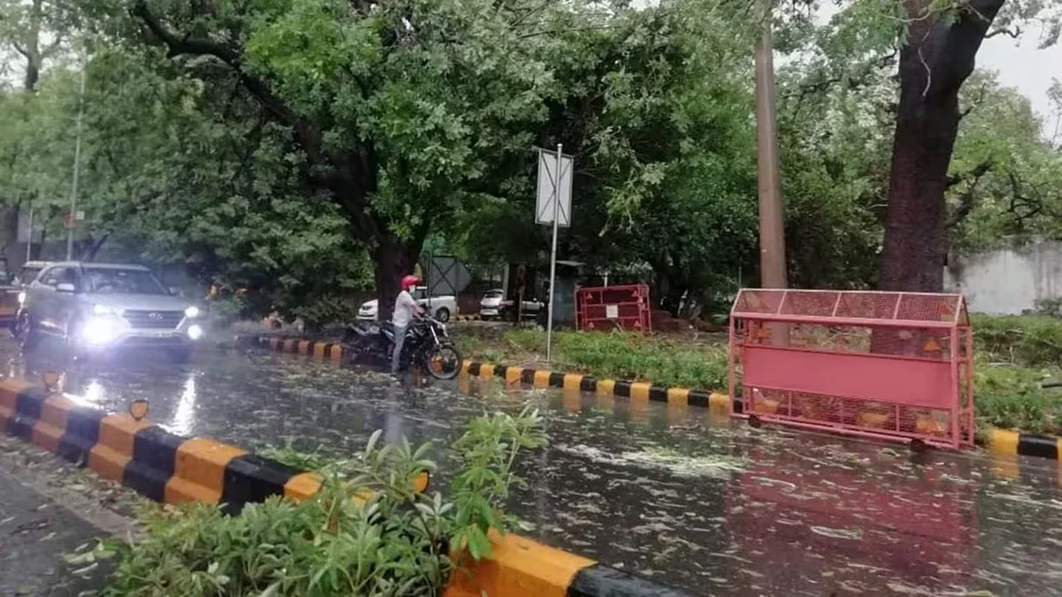 फोटो: सोशल मीडिया