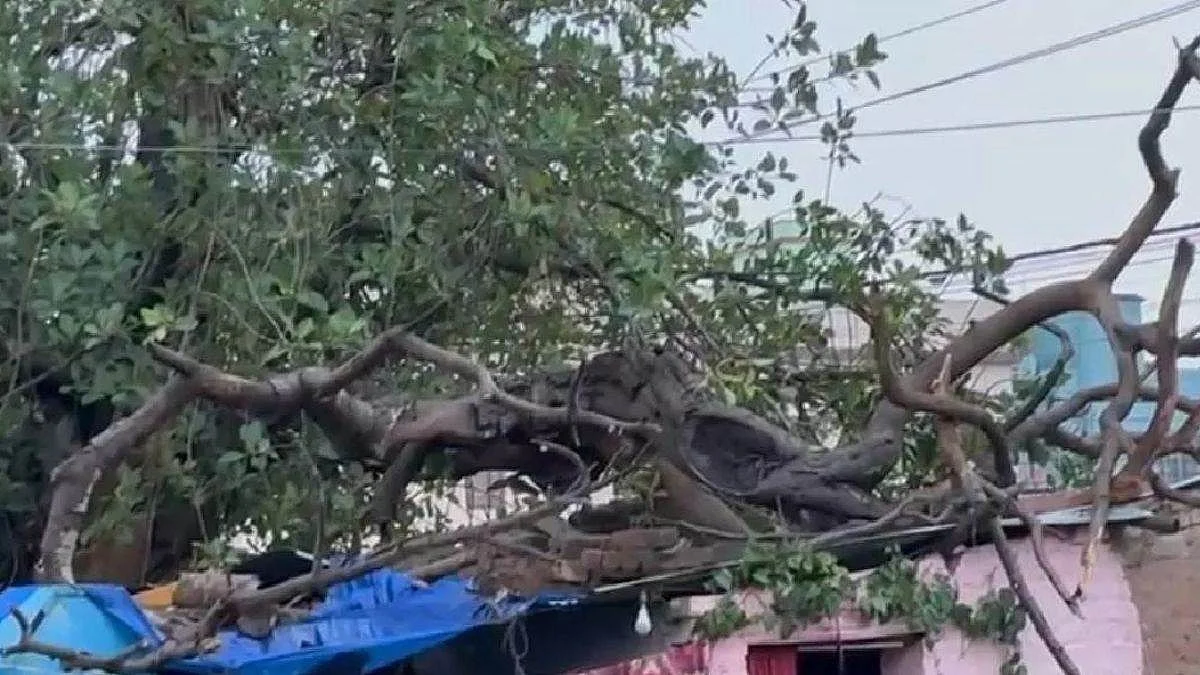 फोटो: सोशल मीडिया