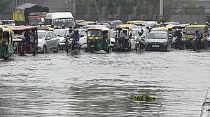 उत्तर भारत में बारिश ने ढाया कहर, 7 लोगों की मौत, दिल्ली-NCR में कई जगह पेड़ गिरे, बिजली गुल