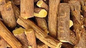 फोटो: IANS