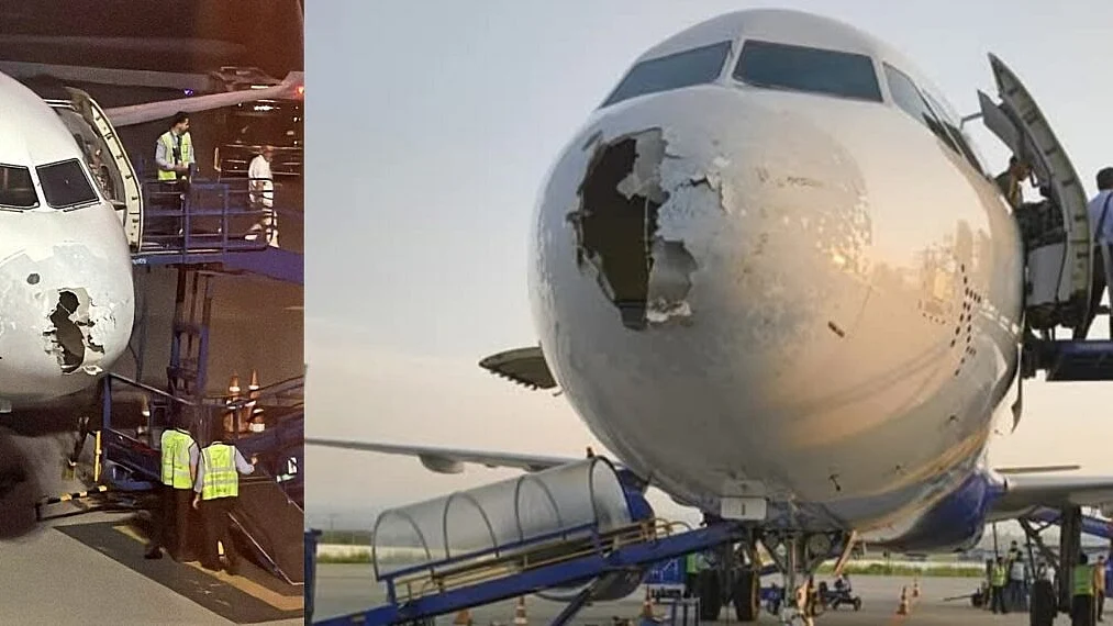 फोटो: सोशल मीडिया