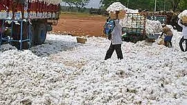 फोटो: IANS