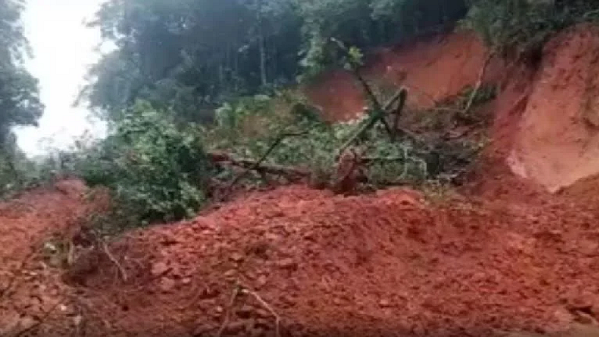 फोटो: सोशसल मीडिया