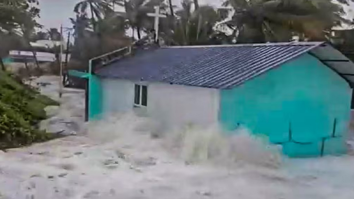 फोटो: सोशल मीडिया