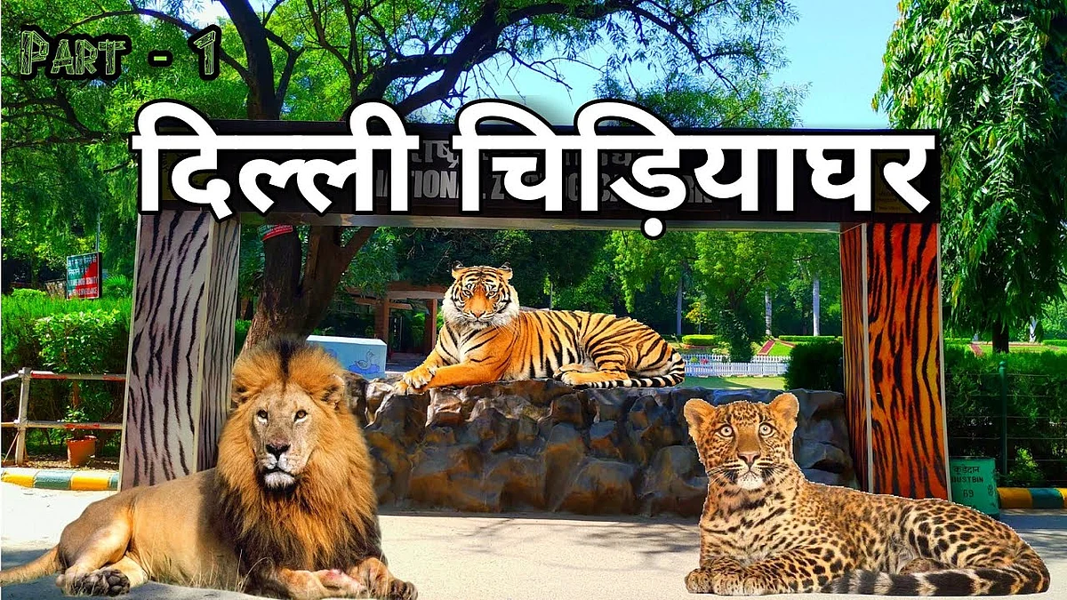फोटो: सोशल मीडिया