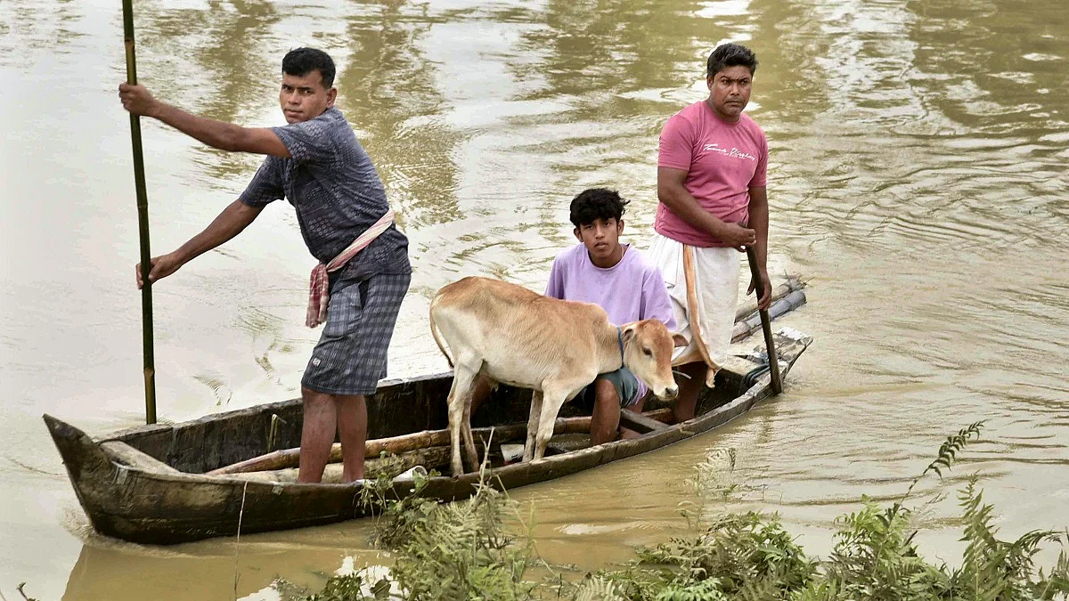 पूर्वोत्तर में बारिश-बाढ़ से हाहाकार! अब तक 36 की मौत, 5.5 लाख प्रभावित, बड़े स्तर पर चलाया जा रहा रेस्क्यू ऑपरेशन