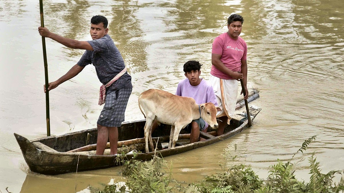 पूर्वोत्तर में बारिश-बाढ़ से हाहाकार! अब तक 36 की मौत, 5.5 लाख प्रभावित, बड़े स्तर पर चलाया जा रहा रेस्क्यू ऑपरेशन