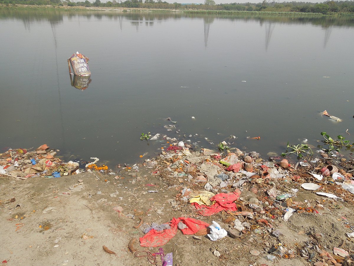 पोस्टरों से साफ होगी दिल्ली में यमुना, बीजेपी के सत्ता में आने के बाद से नदियों की सफाई का मतलब बदला!