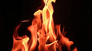 उत्तर प्रदेश: अमरोहा की पटाखा फैक्ट्री में विस्फोट, चार मजदूरों की मौत, 6 घायल