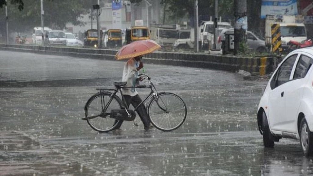 फोटोः सोशल मीडिया