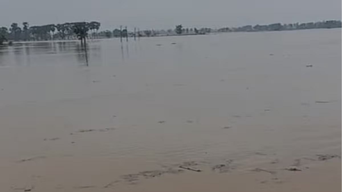 फोटो: सोशल मीडिया