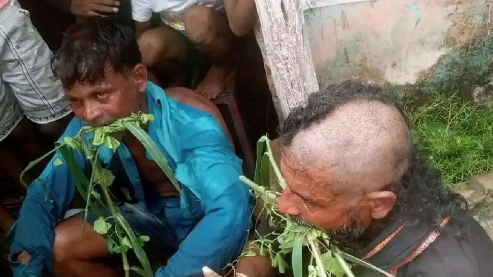 ओडिशा कांग्रेस ने दलितों पर हमले की जांच के लिए समिति बनाई, प्रियंका ने कहा- घटना संविधान का अपमान