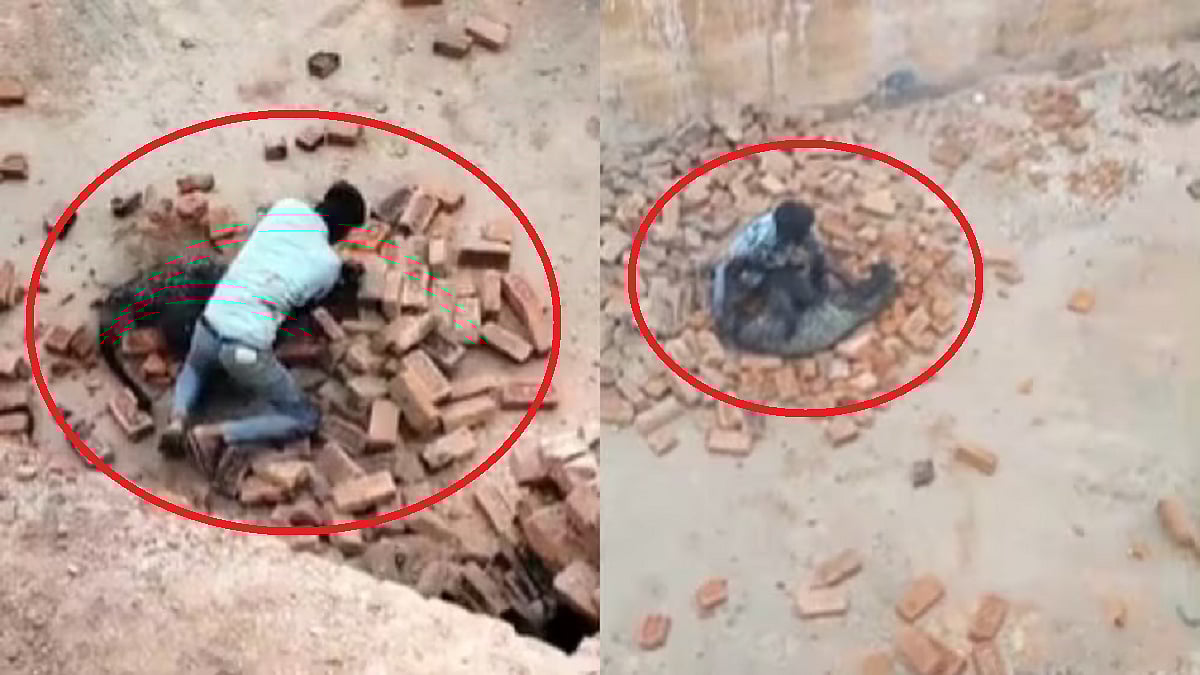 फोटो: सोशल मीडिया