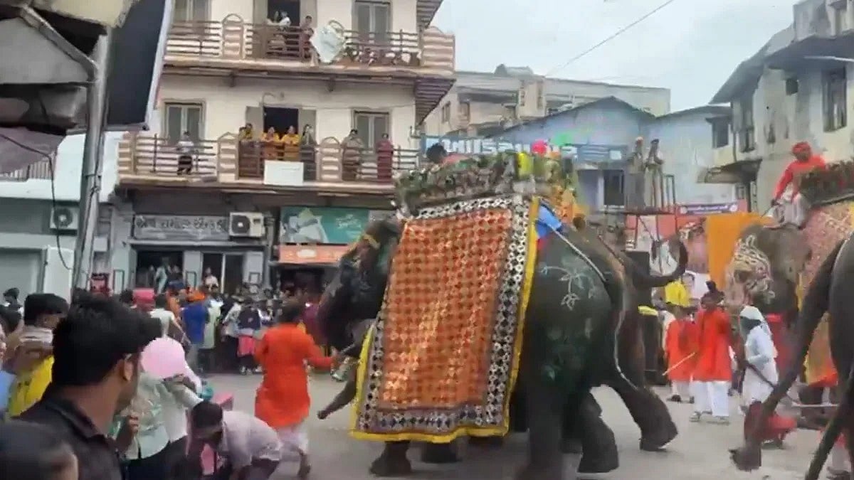 फोटो: सोशल मीडिया 