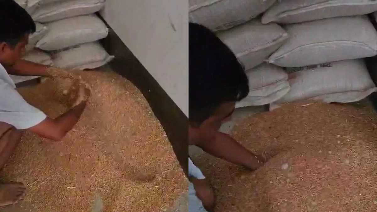 फोटो: सोशल मीडिया