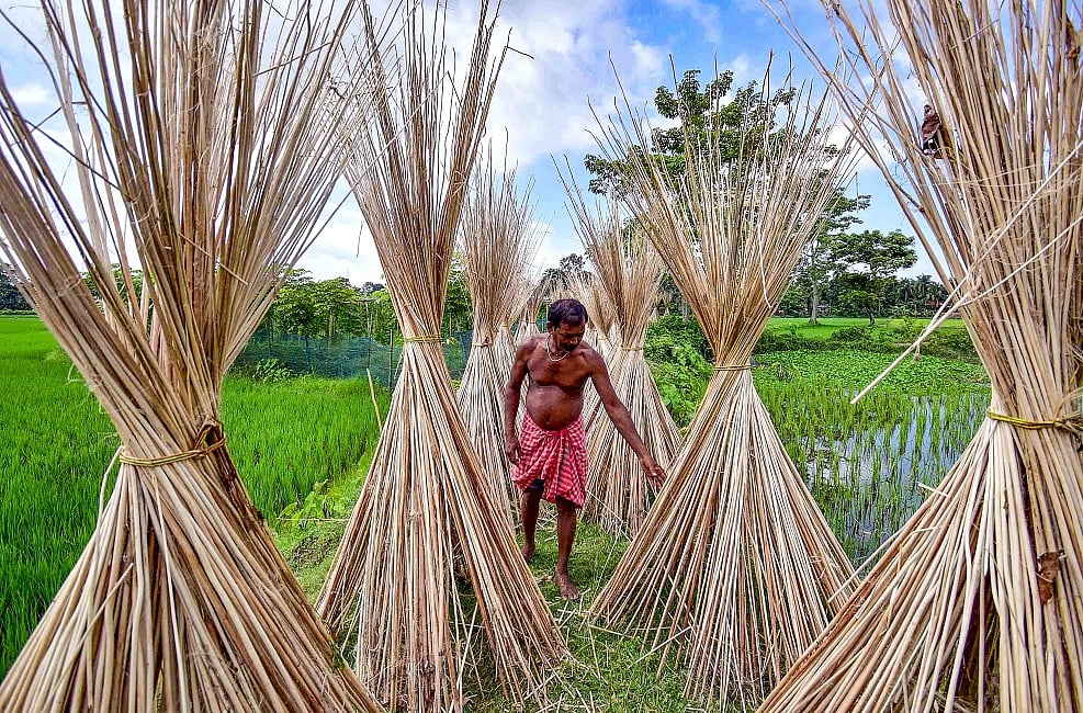 भारत ने बांग्लादेश से जूट आयात पर लगाई रोक और कनाडा ने अमेरिका के साथ व्यापार वार्ताओं को बताया जटिल