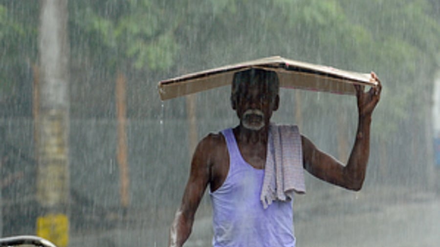 मध्य प्रदेश के 23 जिलों में बाढ़ की चेतावनी, लगातार भारी बारिश से नदी-नाले उफान पर, आम जनजीवन प्रभावित