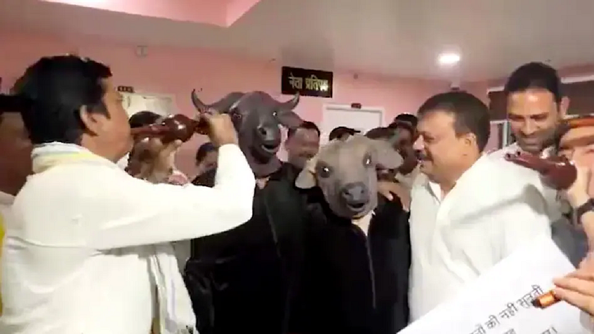 फोटो: सोशल मीडिया
