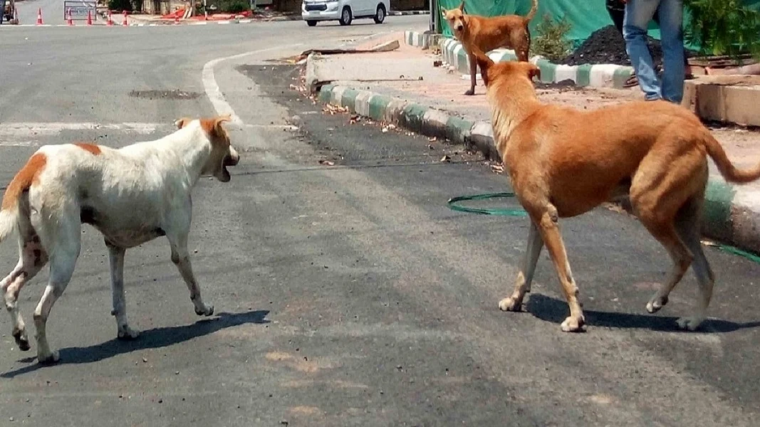 फोटोः IANS