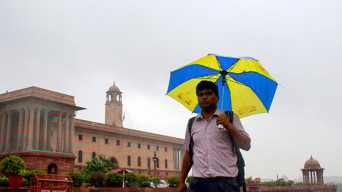 फोटो: सोशल मीडिया