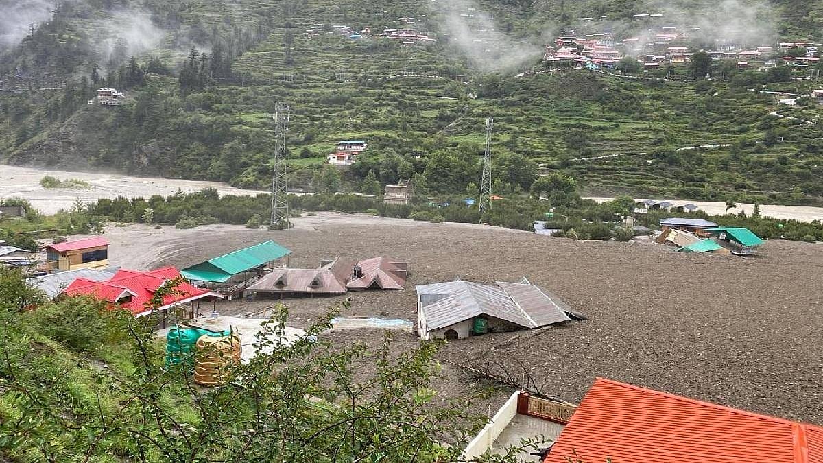 फोटो: सोशल मीडिया