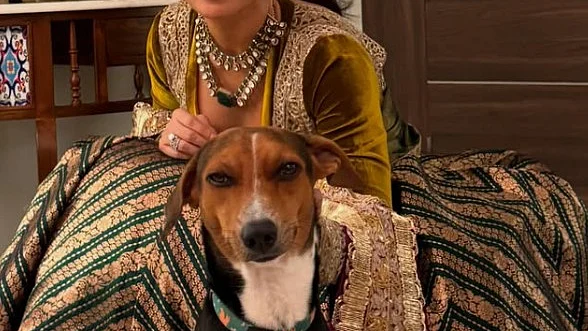 फोटो: सोशल मीडिटा