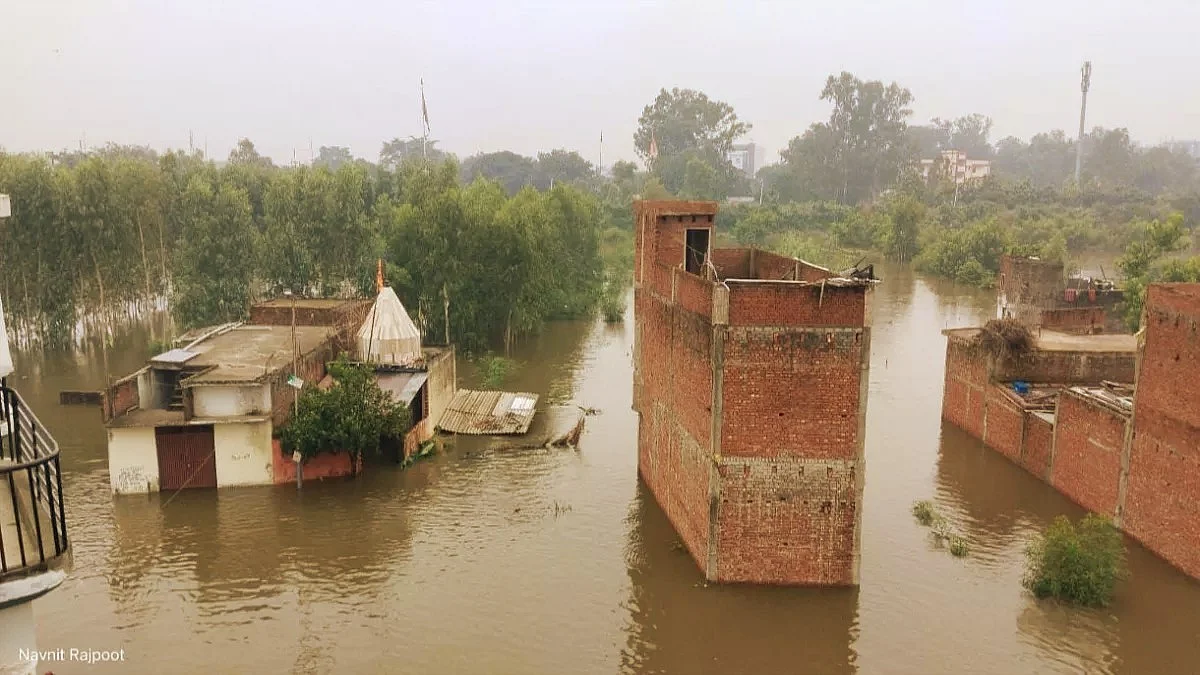 फोटो: सोशल मीडिया