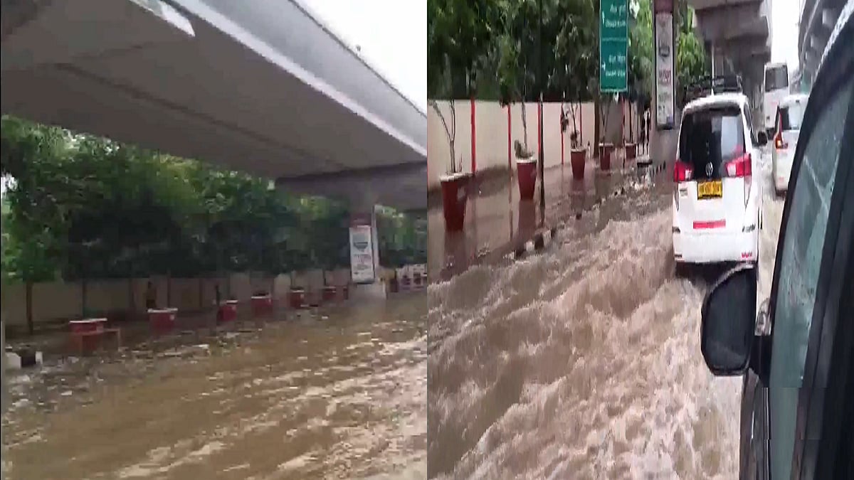 फोटो: सोशल मीडिया