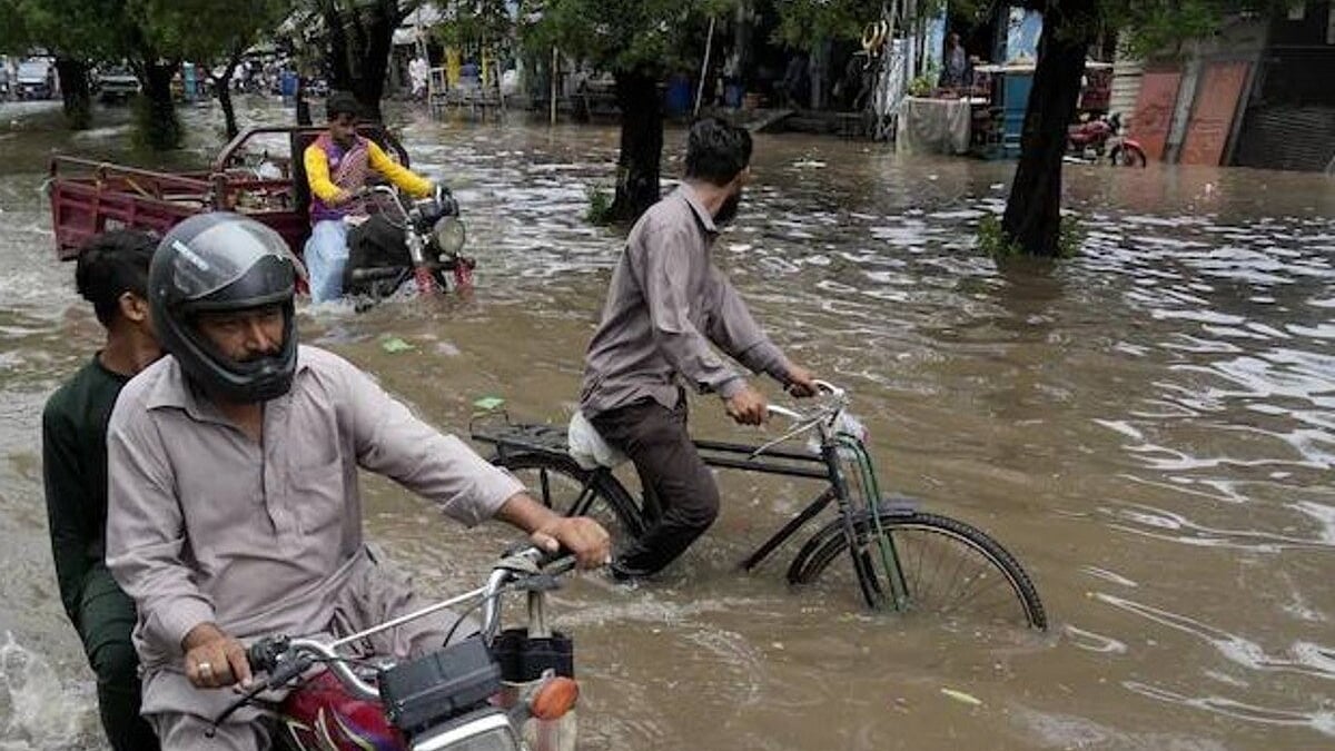 फोटो: सोशल मीडिया