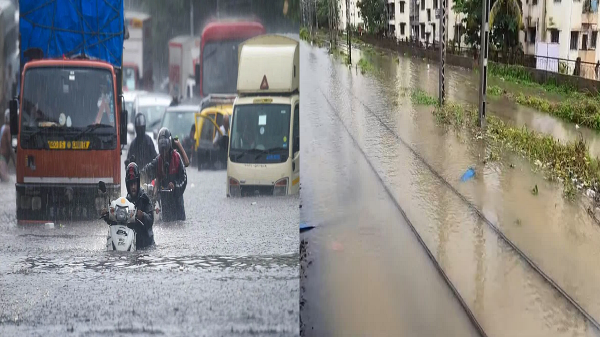 फोटो: सोशल मीडिया