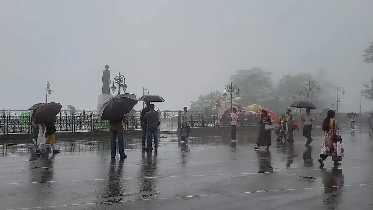 फोटो: सोशल मीडिया