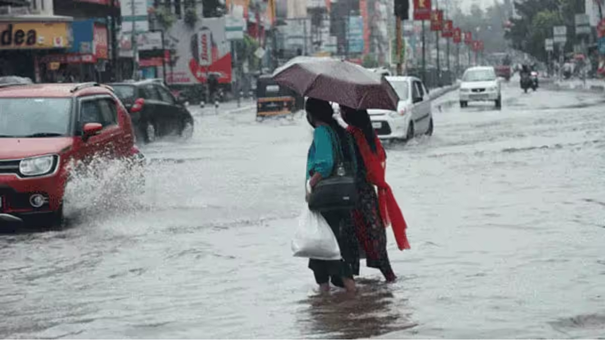 फोटो: सोशल मीडिया