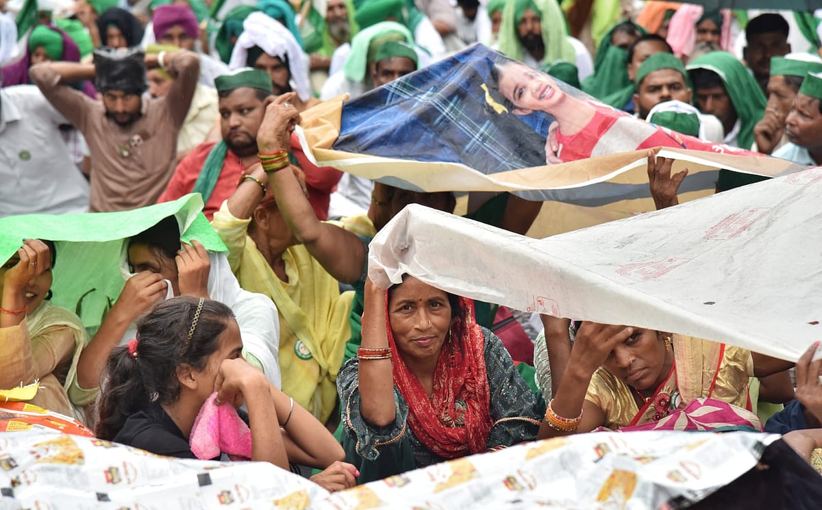 फोटो: विपिन