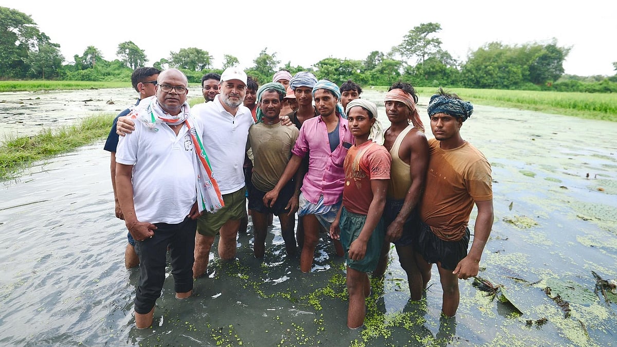 राहुल गांधी ने मखाना किसानों से मुलाकात का वीडियो जारी किया, बोले- मेहनत बहुजनों का, फायदा बिचौलियों का