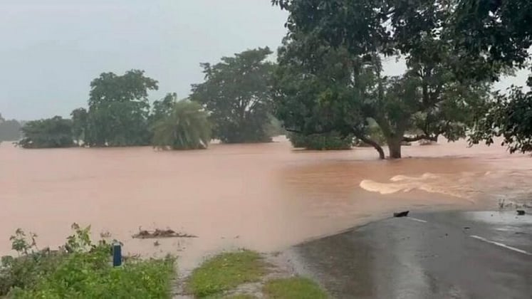 फोटो: सोशल मीडिया