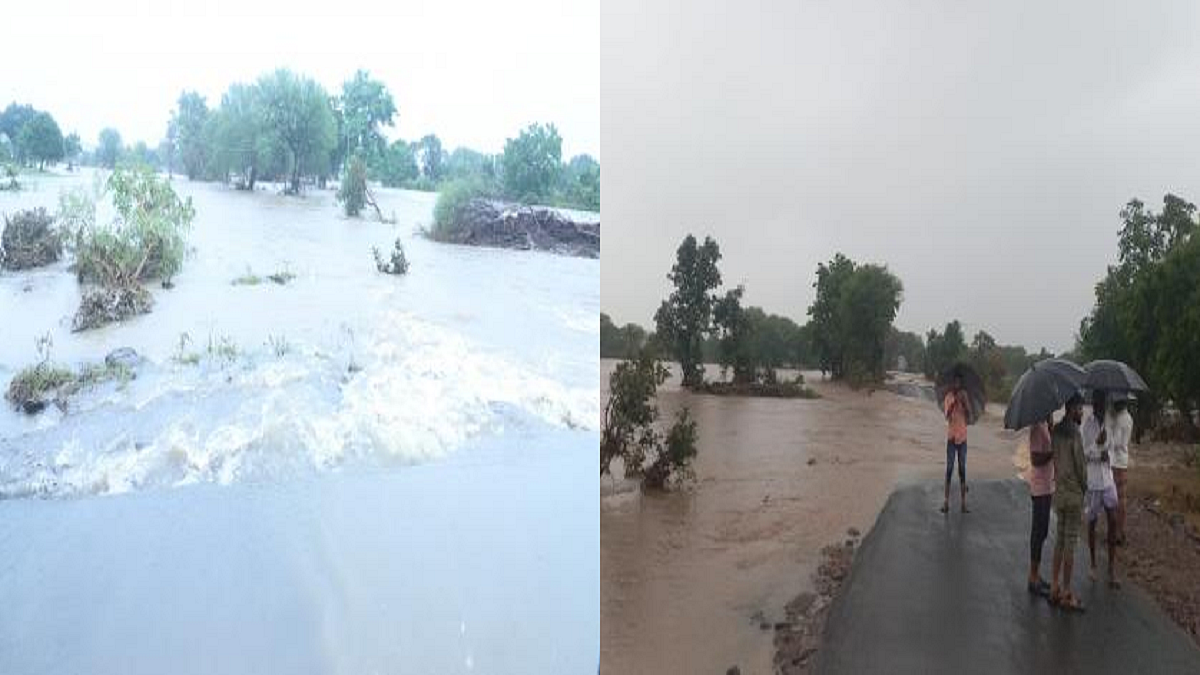 फोटो: सोशल मीडिया