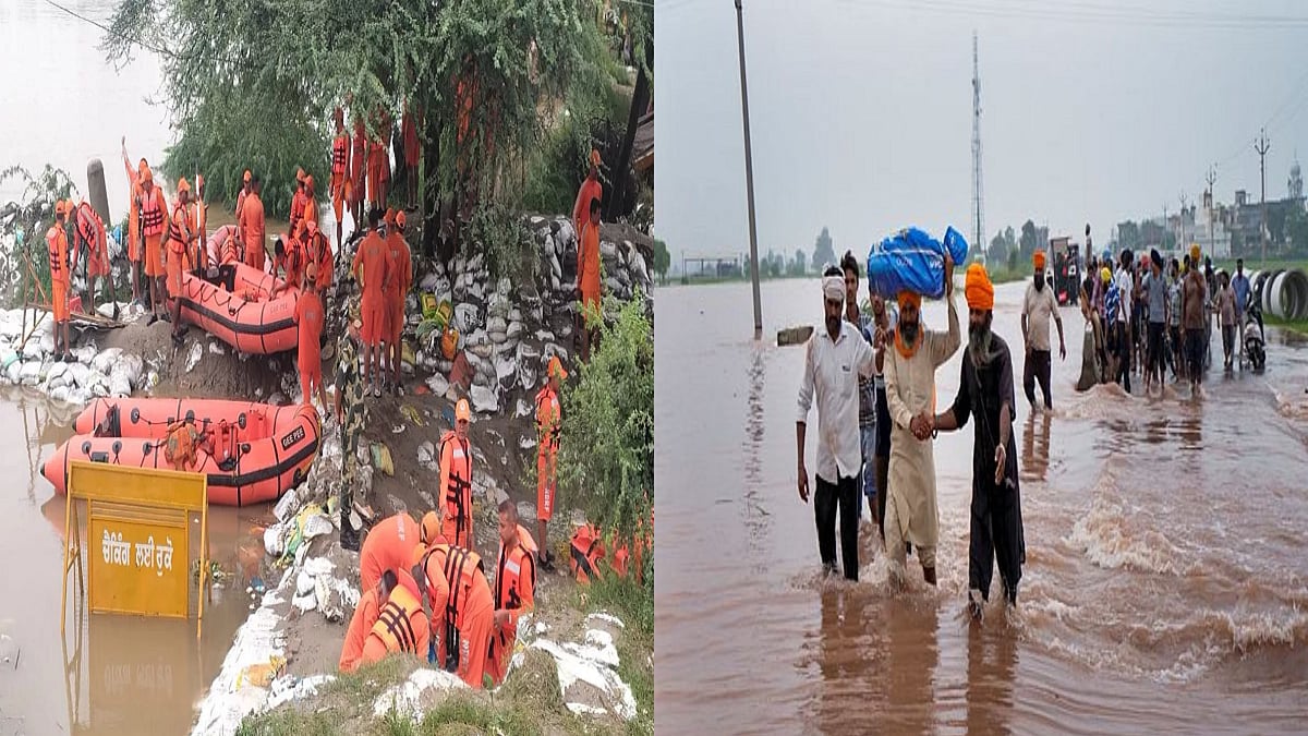 फोटो: सोशल मीडिया