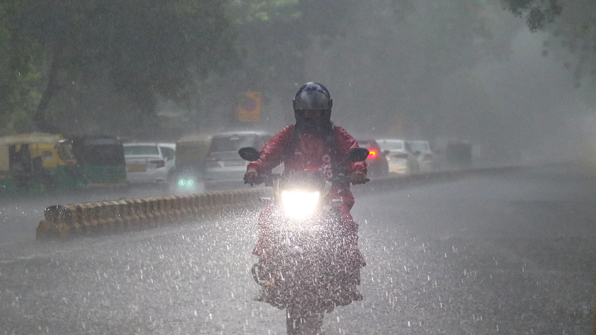 फोटो: सोशल मीडिया