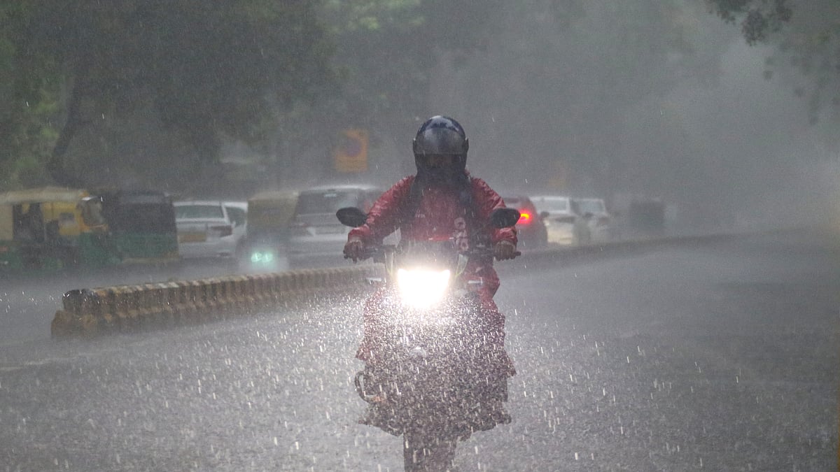 फोटो: सोशल मीडिया