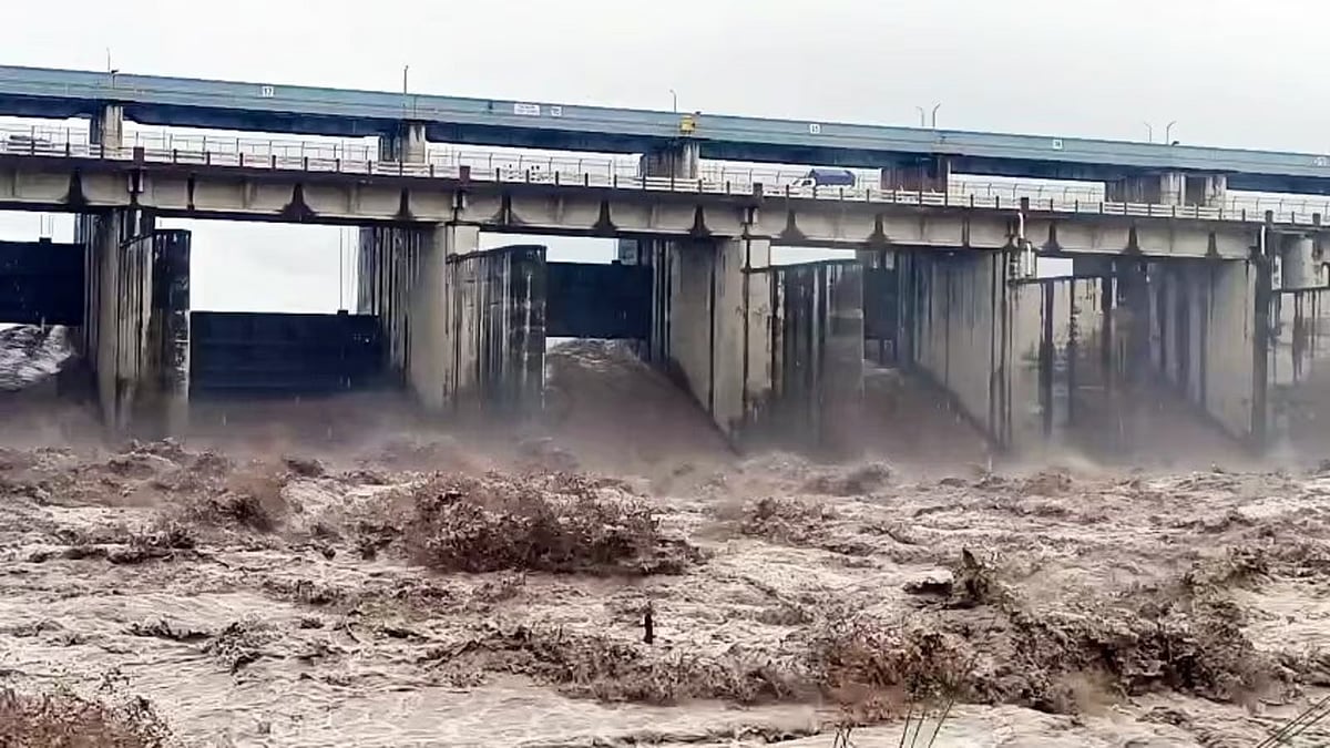 फोटो: सोशल मीडिया
